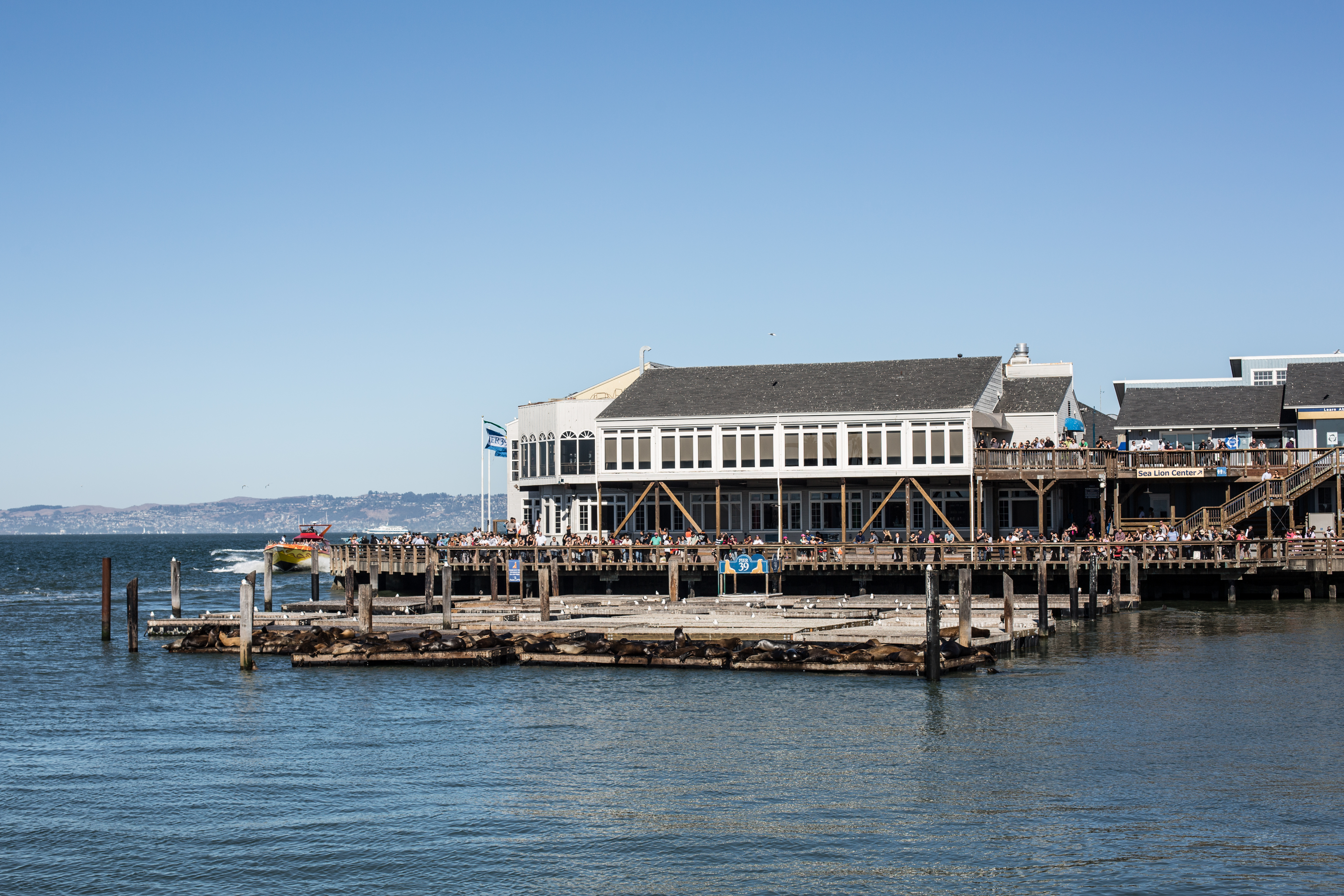 Fishermans-Wharf-7 San Francisco: Exploring Fisherman's Wharf