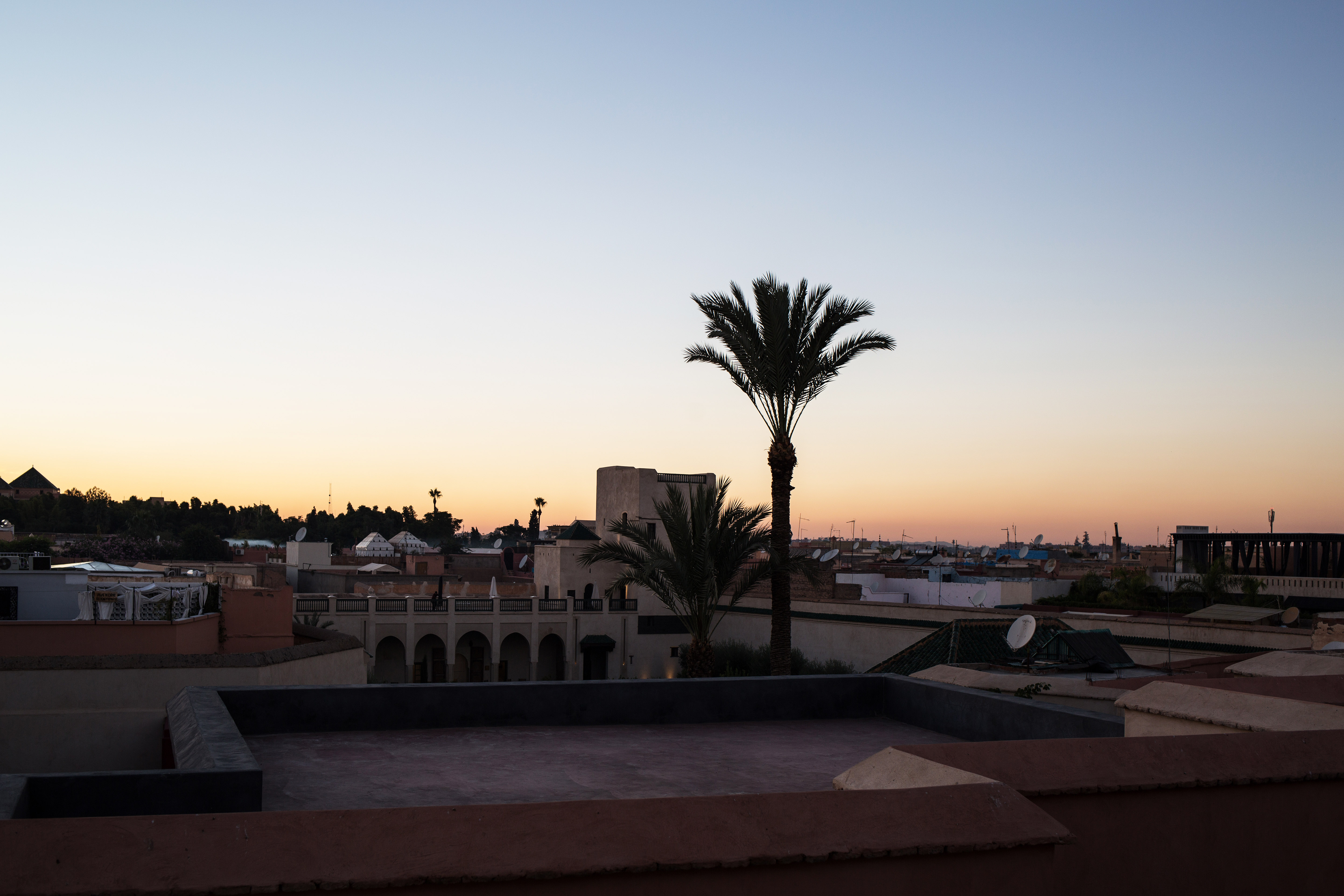 Le Jardin Secret and a sunset at Café Arabe Marrakech