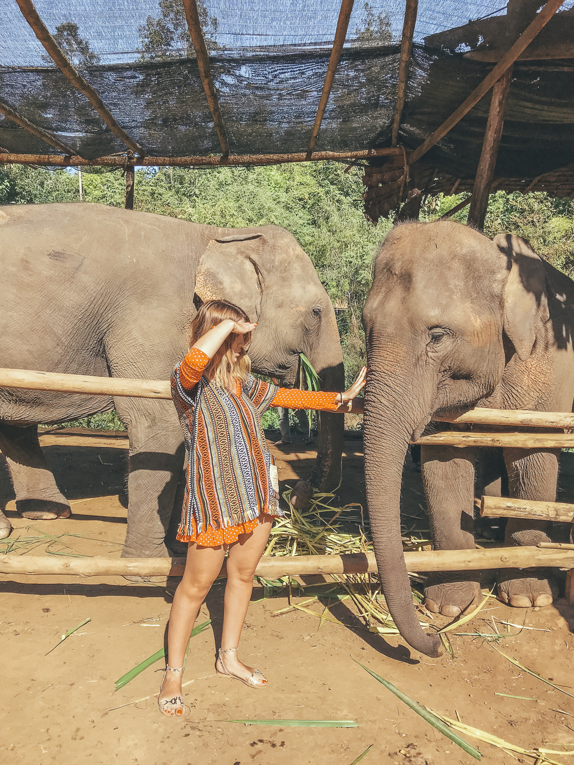 Elephant-Sanctuary-Chinag-Mai_-13 A day well spent at the Elephant Sanctuary Chiang Mai