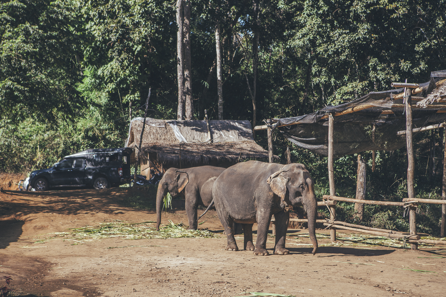 Elephant-Sanctuary-Chinag-Mai_-5 A day well spent at the Elephant Sanctuary Chiang Mai