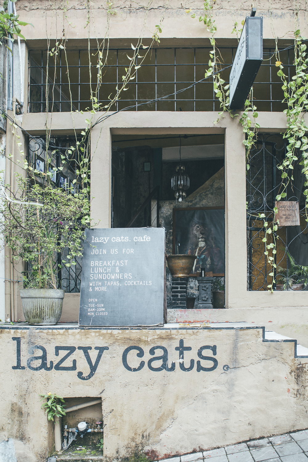 Bali Food guide: Lazy Cats Cafe Ubud