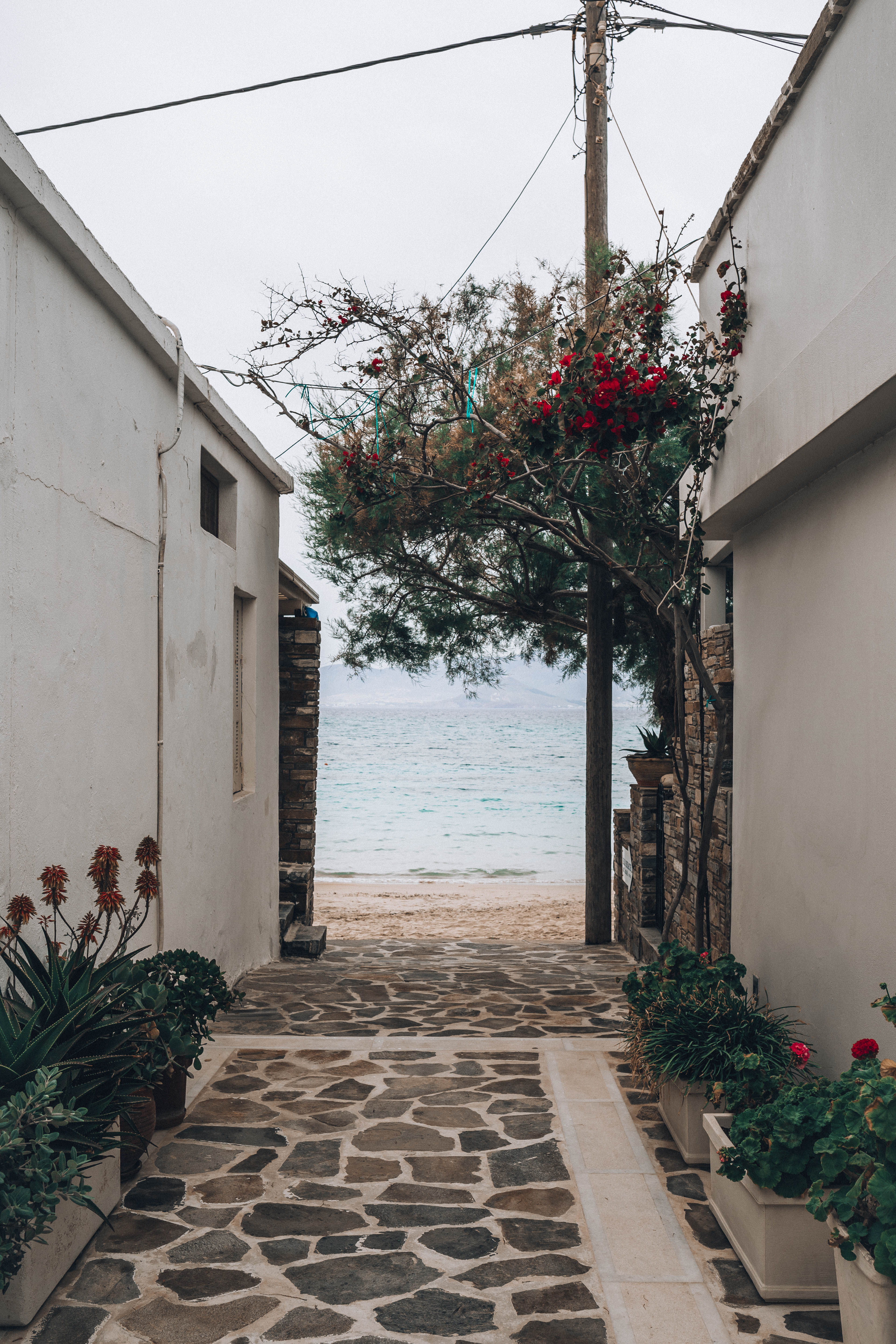 Iria-Beach-Hotel-18-of-27 Holidays in Naxos - Where to Stay