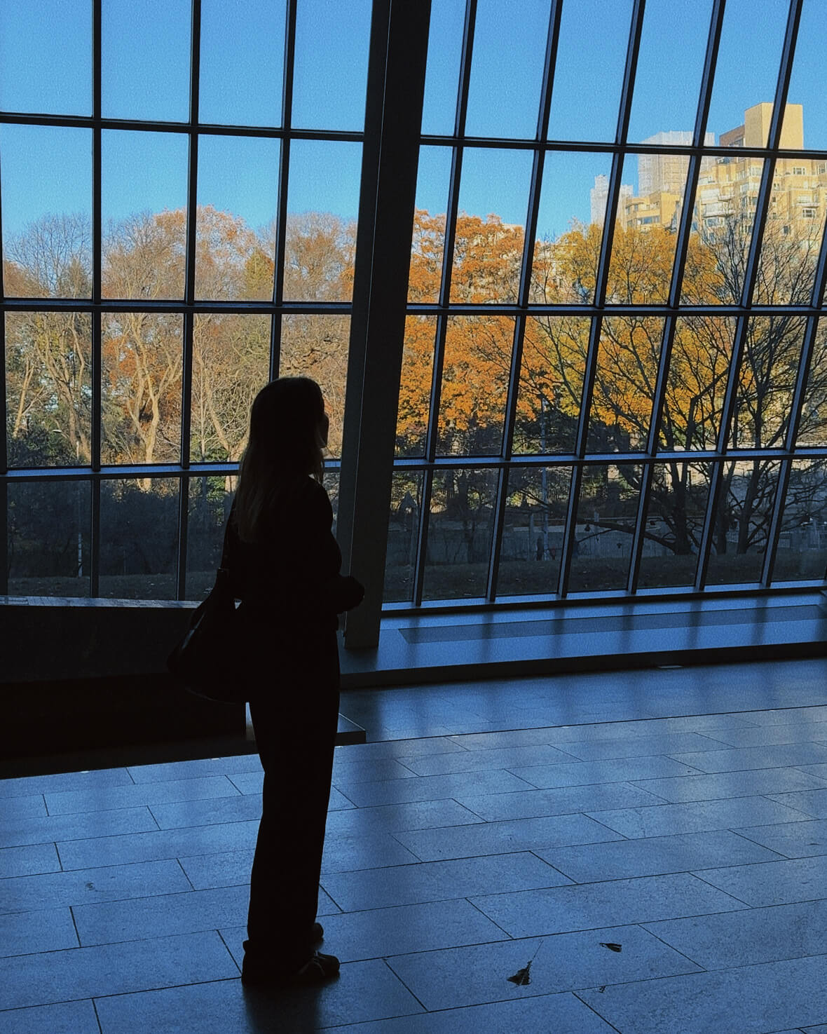 Tezza-2653 48 Hours in New York: The Perfect Weekend Itinerary 2026